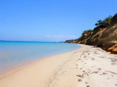 Plot of 70.000m2 on the first row from the beach. Kassandra.