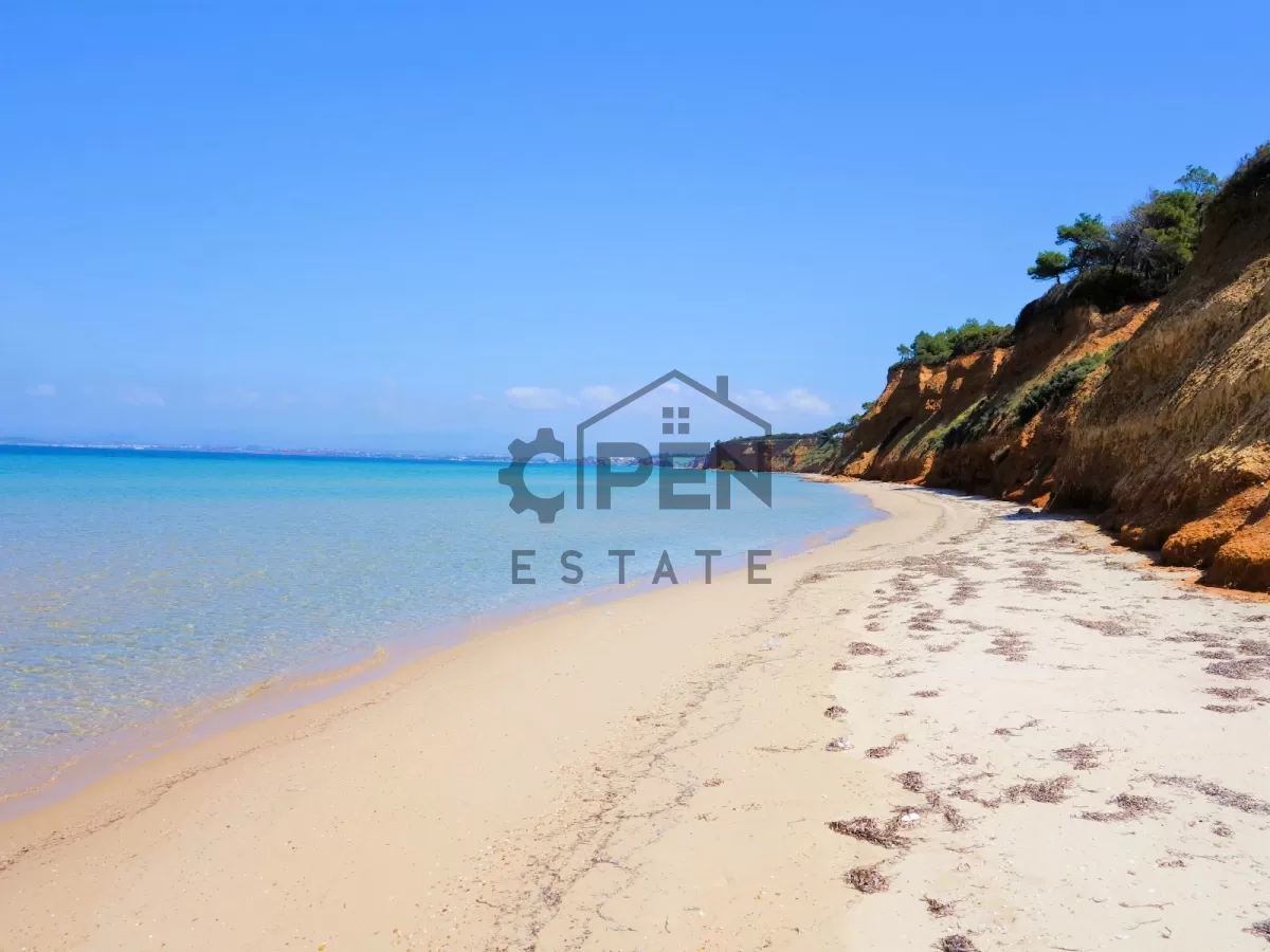 Plot of 70.000m2 on the first row from the beach. Kassandra.