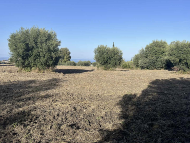 Antiparohi for two plots of land. Kriopigi.
