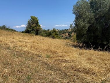 Land plot in Paluri.