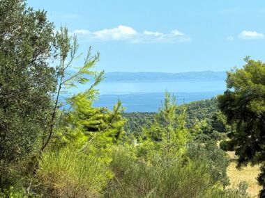 Land plot in Paluri