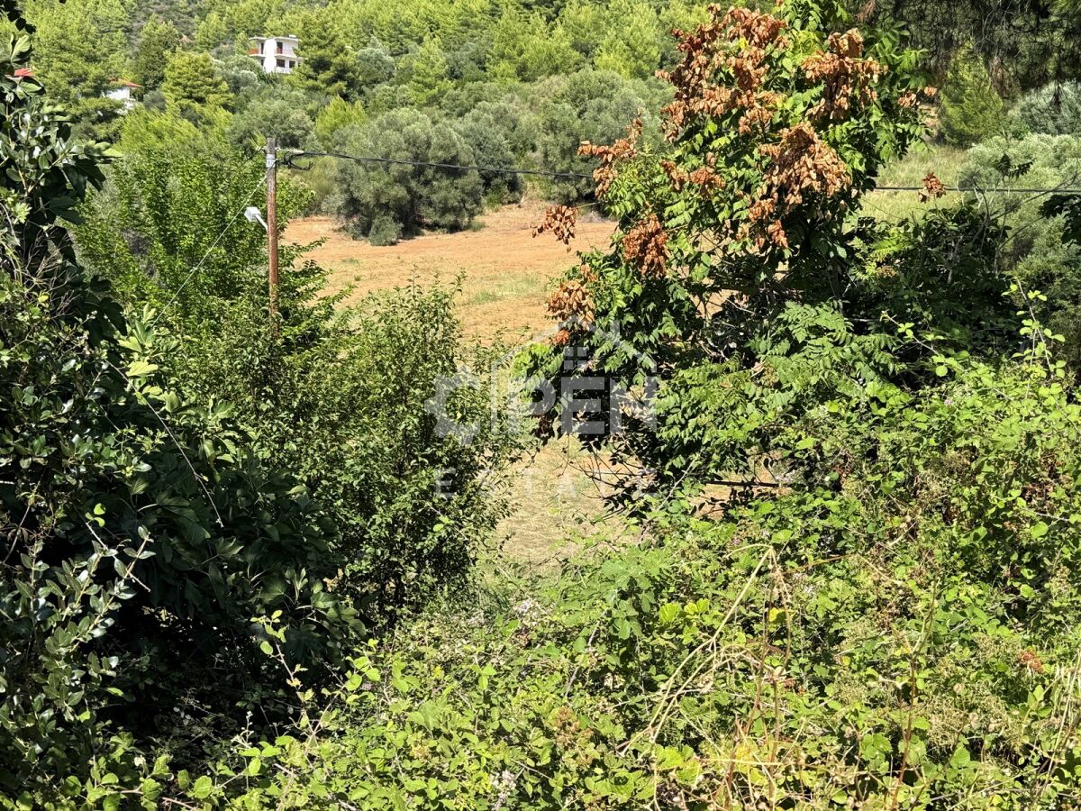 Land plot in Loutra, Agia Paraskevi.